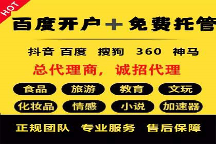 竞价托管服务案例解析